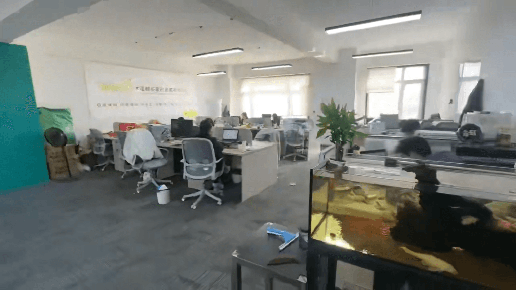 專業(yè)服務(wù)，家的港灣 大連鯨嶼家政服務(wù)引領(lǐng)品質(zhì)生活新風(fēng)尚